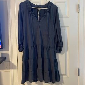 Brand new w tag cute blue dress by Max Studio